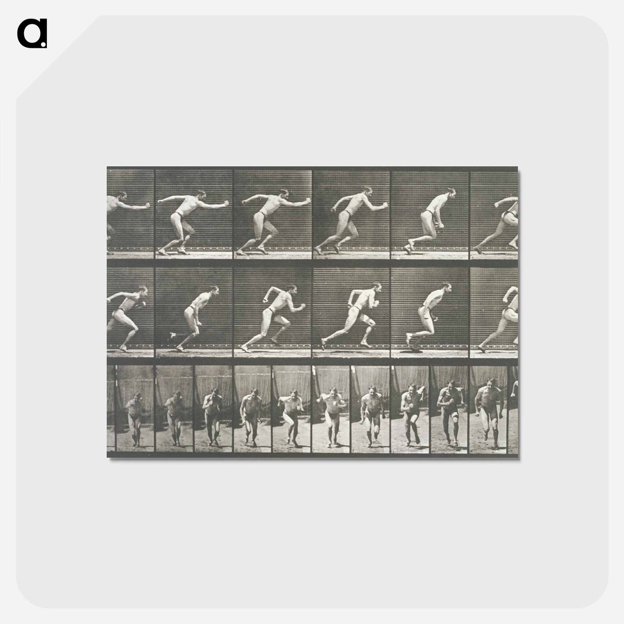 アートポストカード-Starting for a Run
 - エドワード マイブリッジ Postcard.