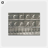アートポストカード-Starting for a Run
 - エドワード マイブリッジ Postcard.