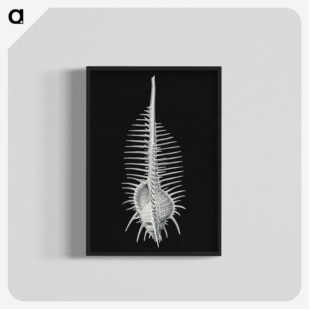 2-24_Ernst-Haeckel_blk-crop