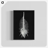 2-24_Ernst-Haeckel_blk-crop