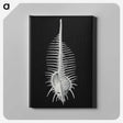 2-24_Ernst-Haeckel_canvas
