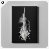 2-24_Ernst-Haeckel_canvas