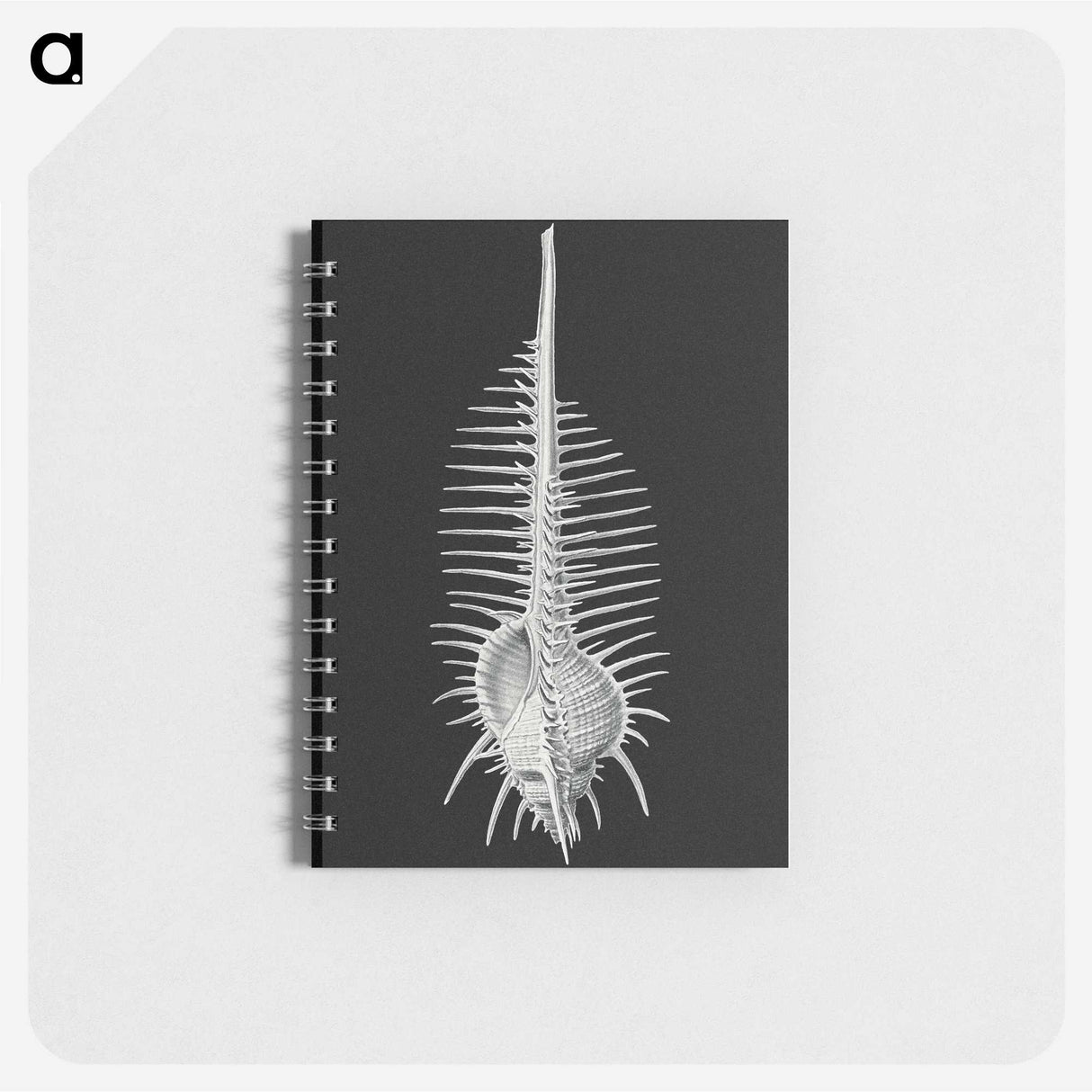 2-24_Ernst-Haeckel_memo