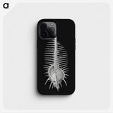 2-24_Ernst-Haeckel_phone