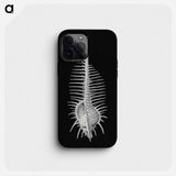 Vintage shell marine life illustration - エルンスト ヘッケル Phone Case.