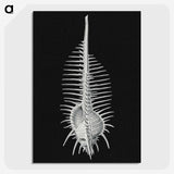 2-24_Ernst-Haeckel_picture-crop