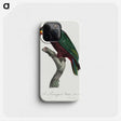 2-24_Francois-Levaillant_phone