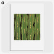 2-24_Furuya-Korin_picture