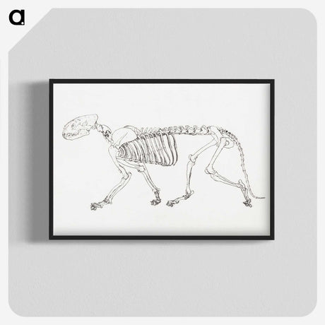 2-24_George-Stubbs_blk-crop