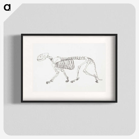 2-24_George-Stubbs_blk