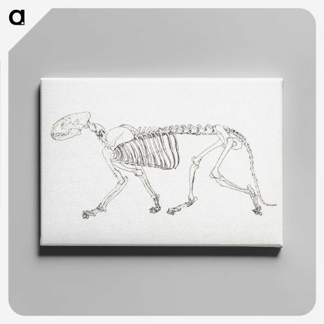 2-24_George-Stubbs_canvas