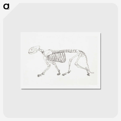 2-24_George-Stubbs_hagaki