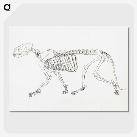 2-24_George-Stubbs_picture-crop
