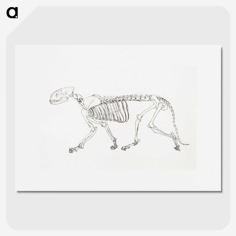 2-24_George-Stubbs_picture