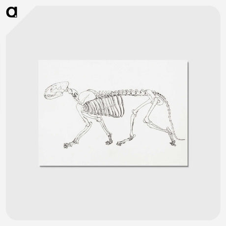 2-24_George-Stubbs_postcard
