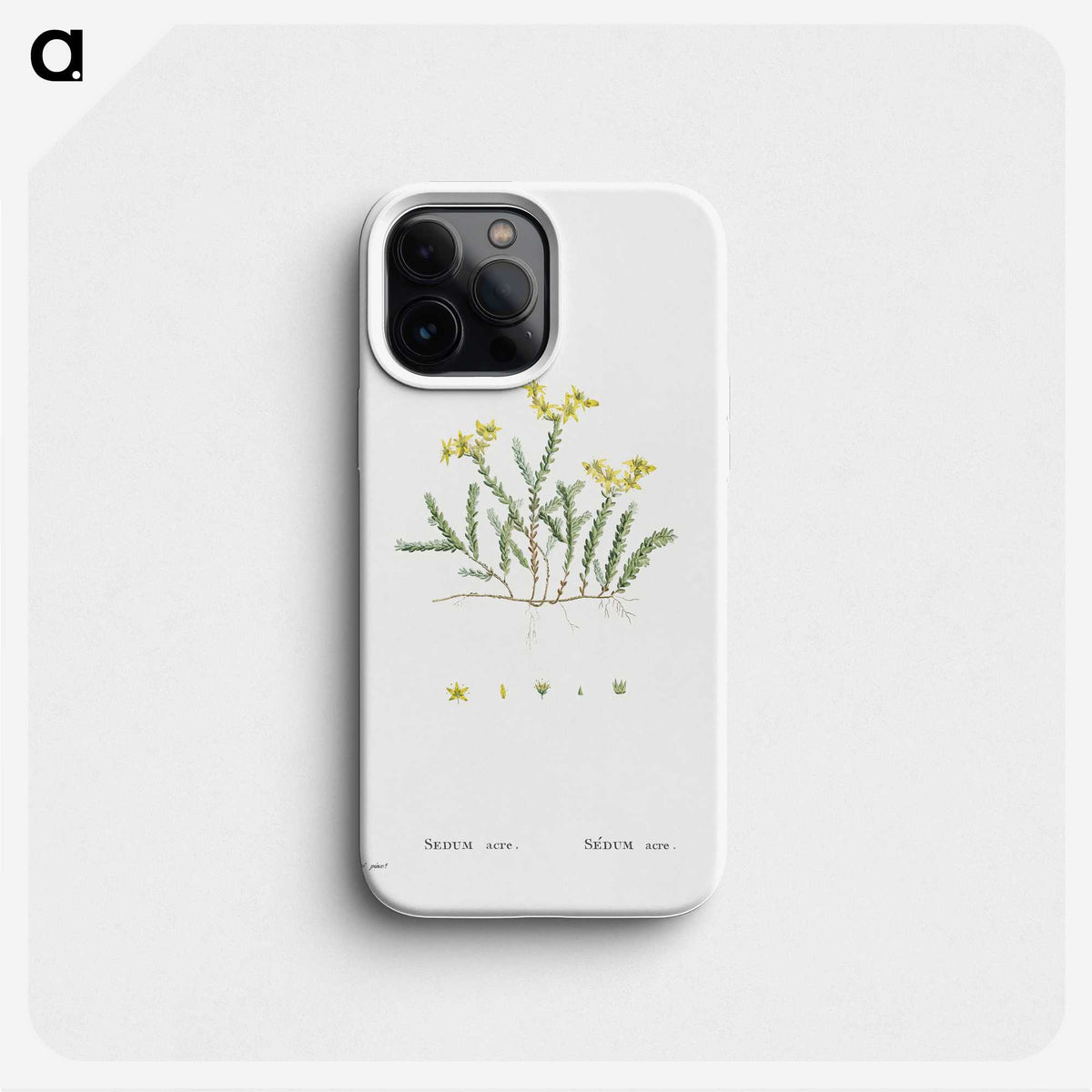 2-24_Histoire-des-Plantes-Grasses_phone