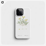 2-24_Histoire-des-Plantes-Grasses_phone