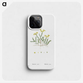 2-24_Histoire-des-Plantes-Grasses_phone