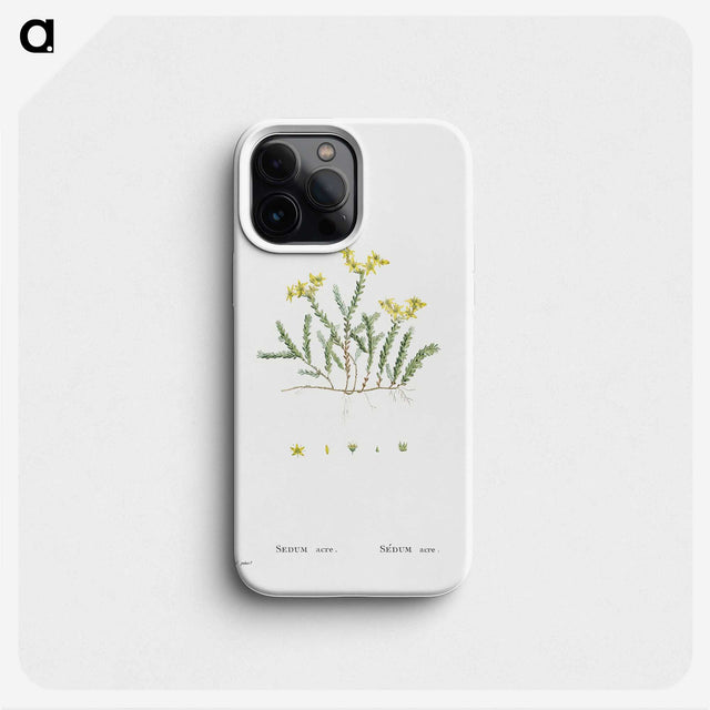 2-24_Histoire-des-Plantes-Grasses_phone