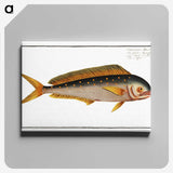 2-24_Ichtyologie-ou-Histoire-naturelle_canvas