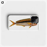 2-24_Ichtyologie-ou-Histoire-naturelle_phone