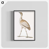 2-24_Indian-Zoology_blk-crop