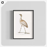 2-24_Indian-Zoology_blk