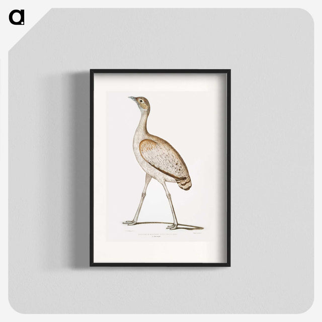 2-24_Indian-Zoology_blk