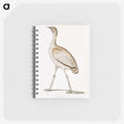 2-24_Indian-Zoology_memo