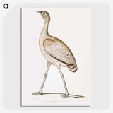 2-24_Indian-Zoology_picture-crop