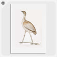 2-24_Indian-Zoology_picture