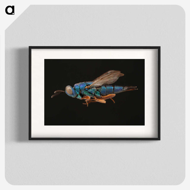 2-24_Insects-Unlocked-Project_blk