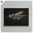 2-24_Insects-Unlocked-Project_canvas