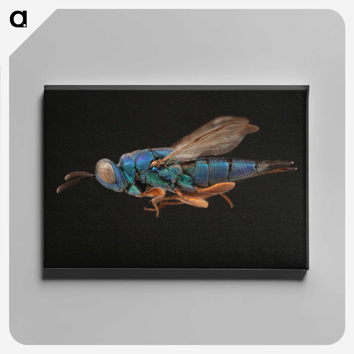2-24_Insects-Unlocked-Project_canvas