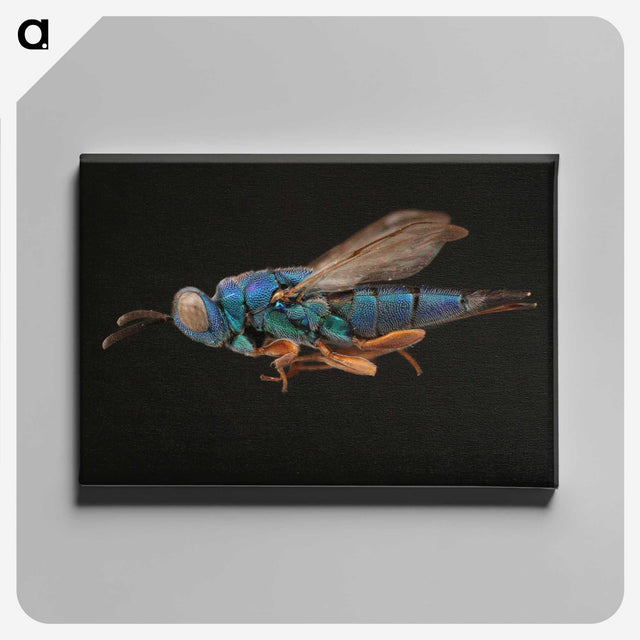 2-24_Insects-Unlocked-Project_canvas