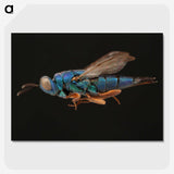 2-24_Insects-Unlocked-Project_picture-crop