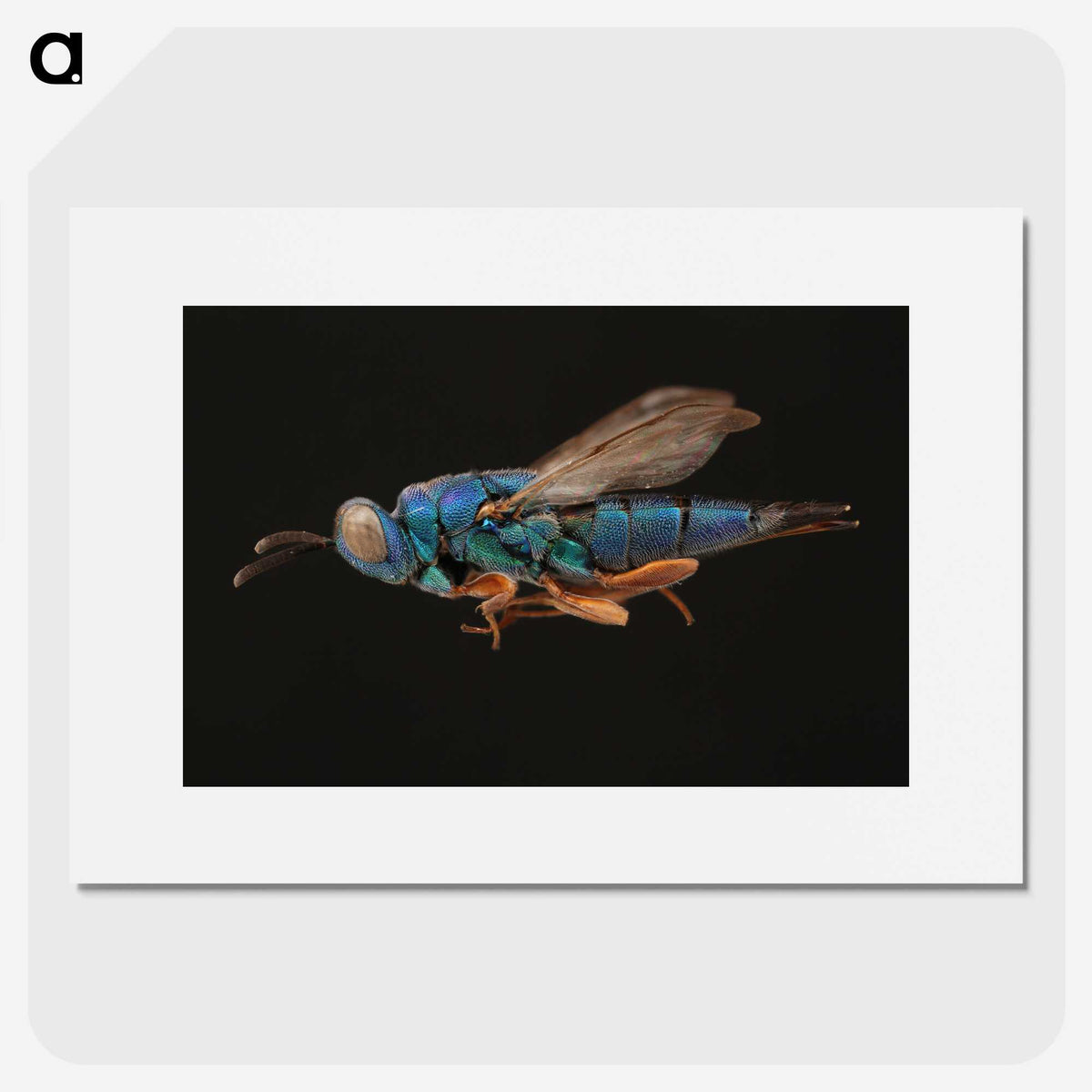 2-24_Insects-Unlocked-Project_picture