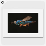 2-24_Insects-Unlocked-Project_picture