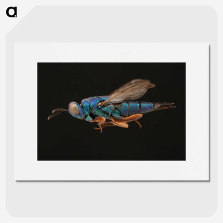 2-24_Insects-Unlocked-Project_picture