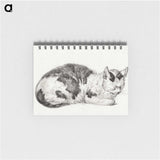 2-24_Jean-Bernard_memo