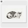 2-24_Jean-Bernard_picture