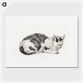 2-24_Jean-Bernard_picture