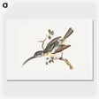 2-24_Johan-Teyler_picture