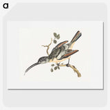 2-24_Johan-Teyler_picture