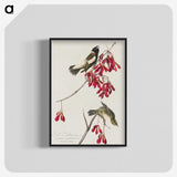 2-24_John-James-Audubon_blk-crop