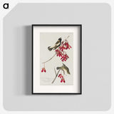 2-24_John-James-Audubon_blk