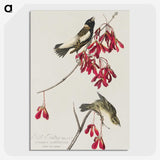 2-24_John-James-Audubon_picture-crop