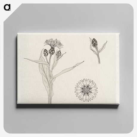 2-24_Julie-de-Graag_canvas