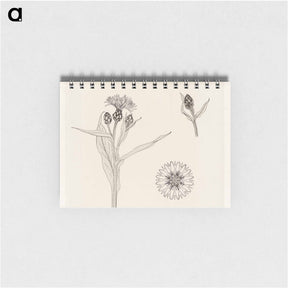 アートメモ帳-Cornflowers - ユリー デ フラーハ Memo.