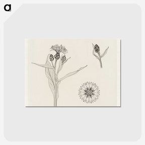 2-24_Julie-de-Graag_postcard